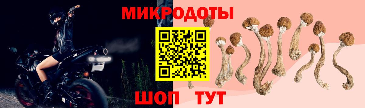 Сергиев Посад  Псилоцибиновые грибы Psilocybine cubensis  Вход с VPN 